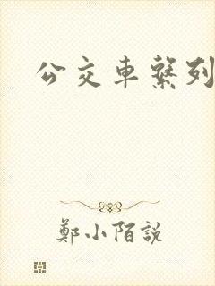 公交车系列嗨文
