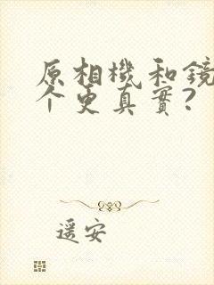 原相机和镜子哪个更真实?