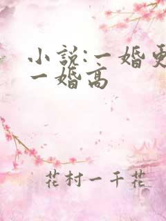 小说:一婚更比一婚高