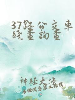 37路公交车路线查询查