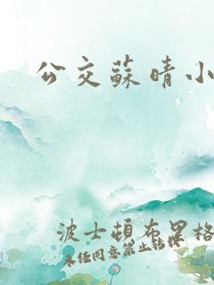 公交苏晴小说