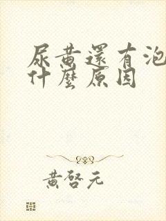尿黄还有泡泡是什么原因