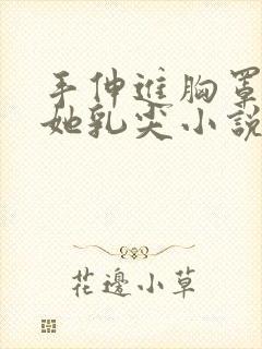 手伸进胸罩里摸她乳尖小说