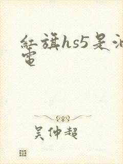 红旗hs5是油电