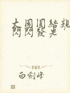 大团圆结亲情会闪闪发光
