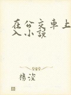 在公交车上被插入小说