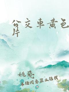 公交车黄色一级片