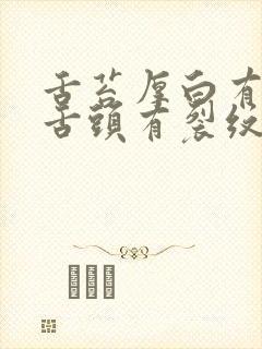 舌苔厚白有齿痕舌头有裂纹