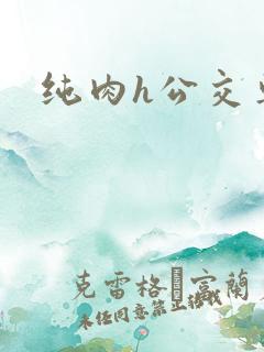 纯肉h公交车