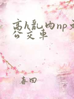 高h乱肉np文公交车