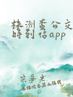 株洲查公交车实时到站app