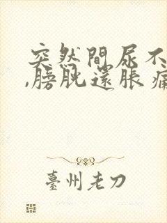 突然间尿不出来,膀胱还胀痛,怎么办