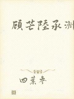 顾芒陆承洲