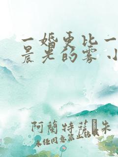 一婚更比一婚高晨光的雾 小说免费阅读