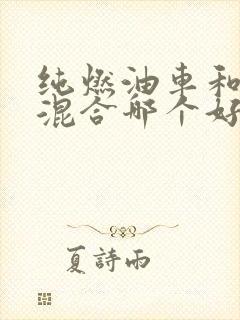 纯燃油车和油电混合哪个好