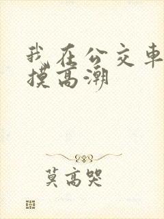 我在公交车上被摸高潮