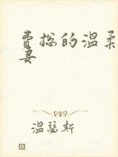 费总的温柔小娇妻