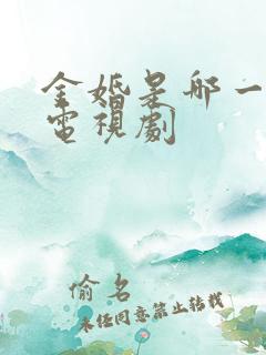 金婚是哪一年的电视剧