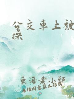 公交车上被公公操