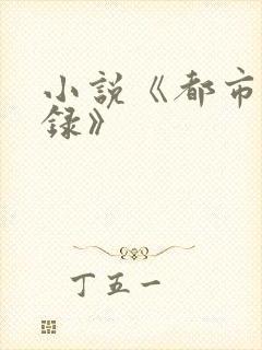 小说《都市凌香录》