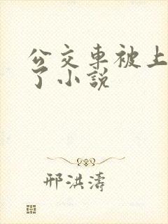 公交车被上高潮了小说