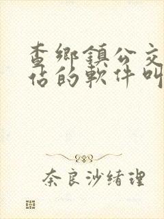 查乡镇公交车到站的软件叫什么