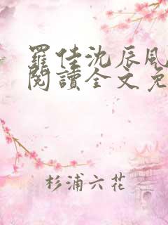 罗佳沈辰风小说阅读全文免费阅读