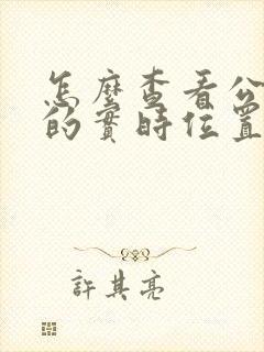 怎么查看公交车的实时位置
