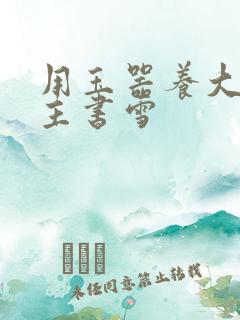 用玉器养大的公主书雪