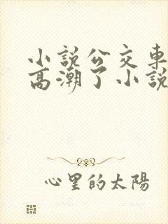 小说公交车被上高潮了小说