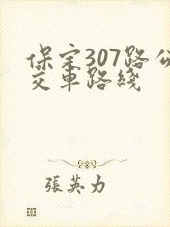 保定307路公交车路线