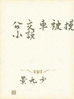公交车被摸高潮小说