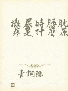 撒尿时膀胱有点疼是什么原因