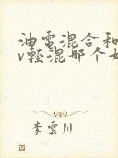 油电混合和48v轻混哪个好