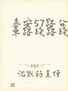 泰安57路公交车路线路线