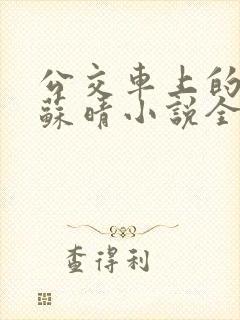 公交车上的妈妈苏晴小说全文阅读下