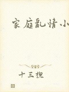 家庭乱情小说