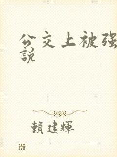 公交上被强插小说