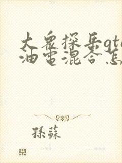 大众探岳gte油电混合怎么样