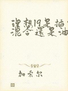 理想l9是插电混合还是油电混合