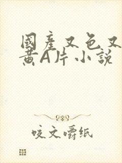 国产又色又爽又黄A片小说
