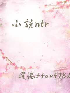 小说ntr