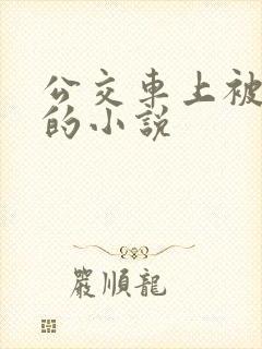 公交车上被人操的小说