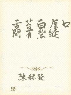 舌苔白厚口臭中间有裂缝