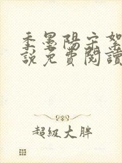 季墨阳宋絮晚小说免费阅读全文最新章节