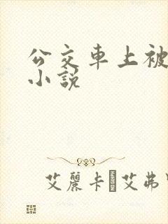 公交车上被轮干小说