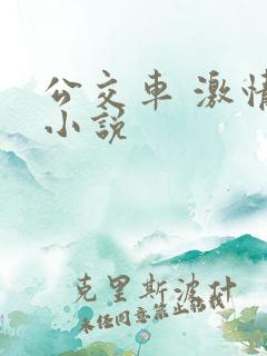 公交车 激情 小说