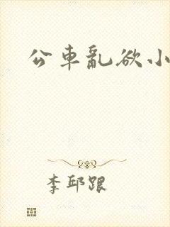 公车乱欲小说