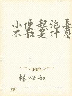 小便起泡长时间不散是什么原因
