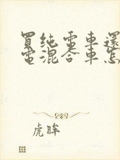 买纯电车还是油电混合车怎么选择